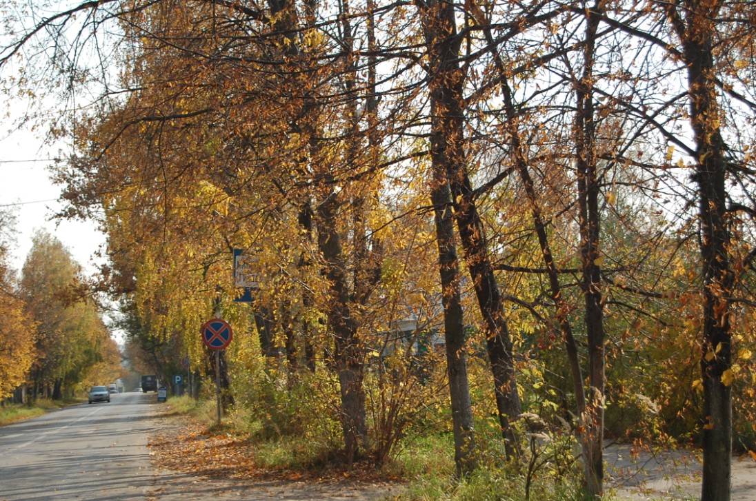 Городские улицы