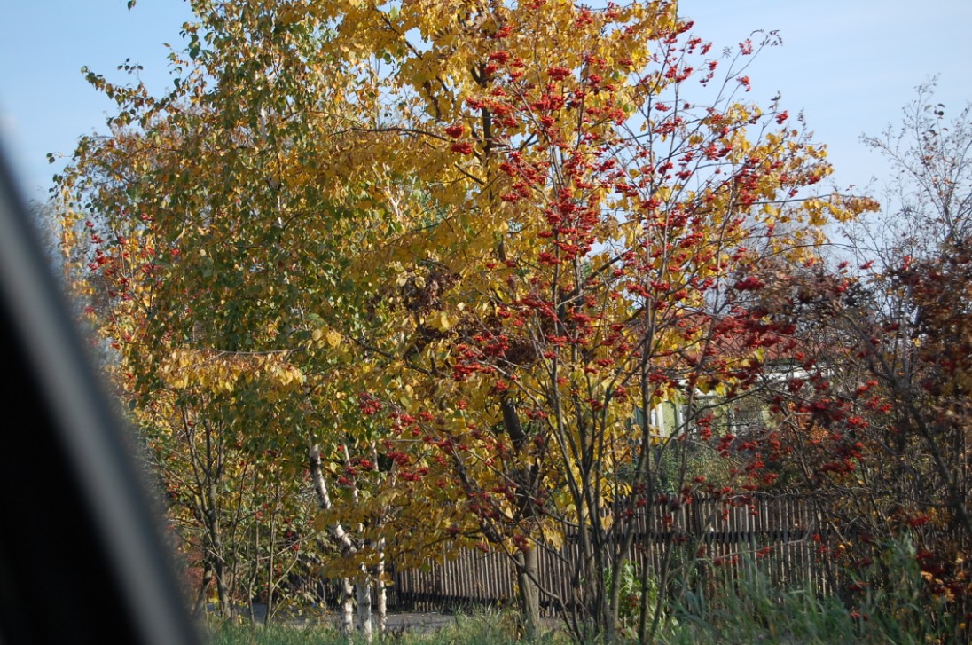 Осень в городе...