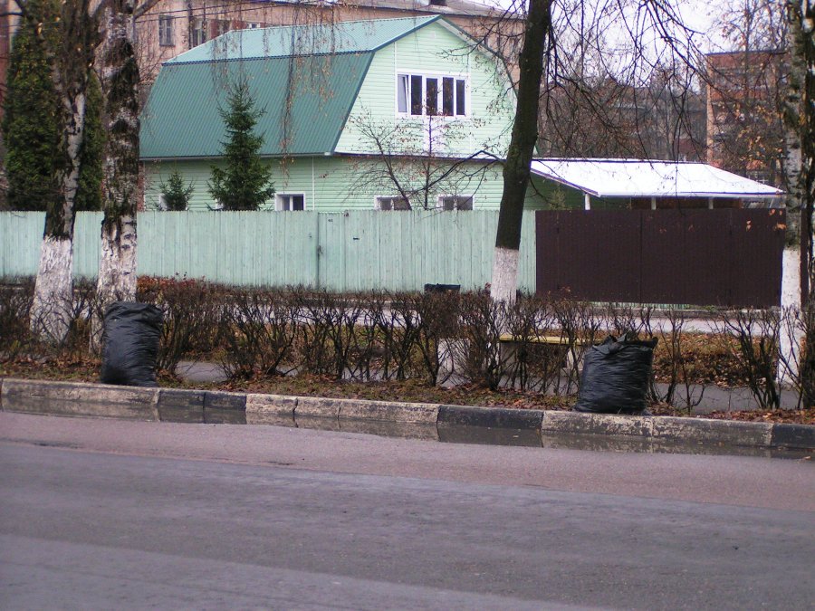 Уборка аллеи. Пакеты.