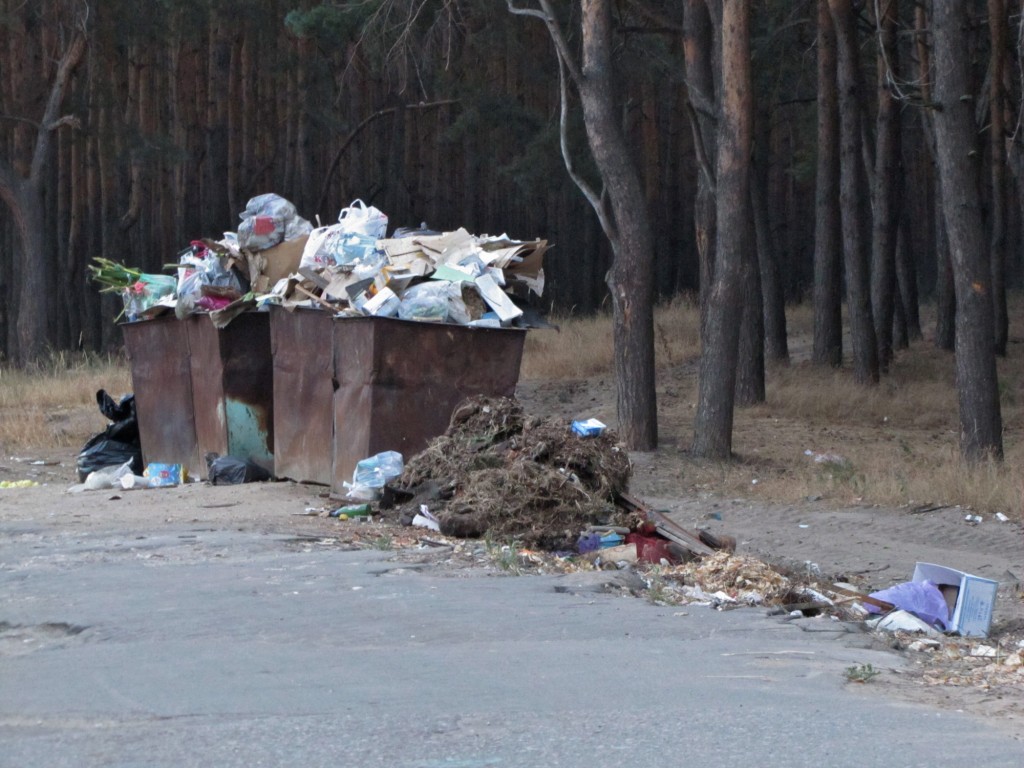 Мусорка у Гнездышко