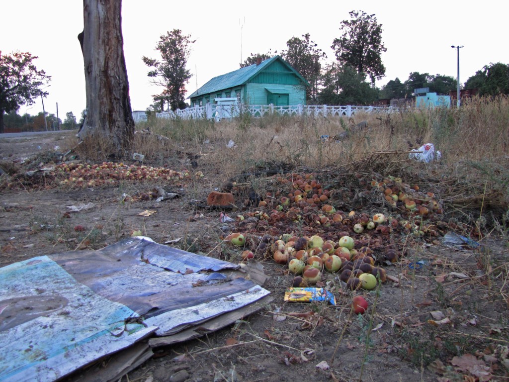 Мусорка у Ж/Д станции