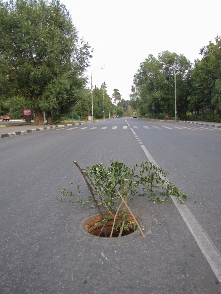 Люк напротив Омеги