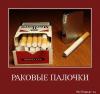 127_rakovye_palochki.jpg