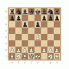 chess6.gif