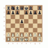 chess5.gif